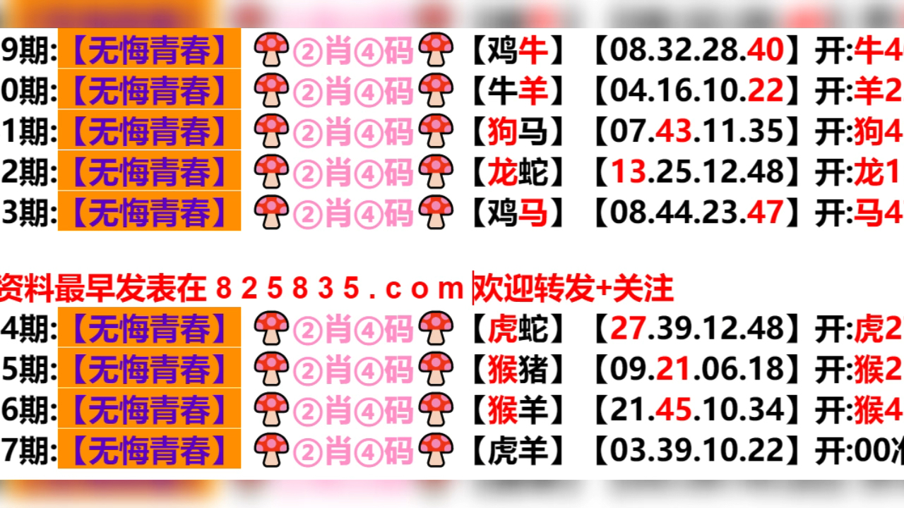 2024新奥历史开奖结果查询澳门六-词语释义解释落实