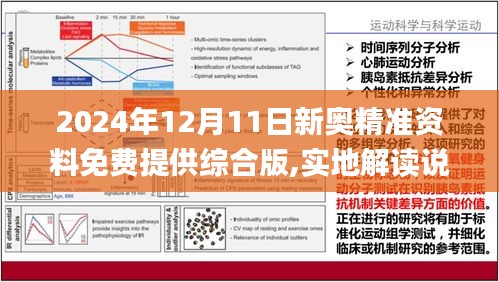 2024新奥资料免费公开-词语释义解释落实