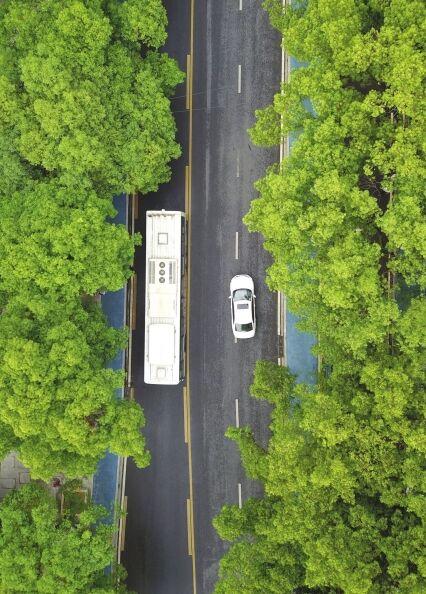 麓山南路规划最新方案，重塑城市风貌与交通脉络